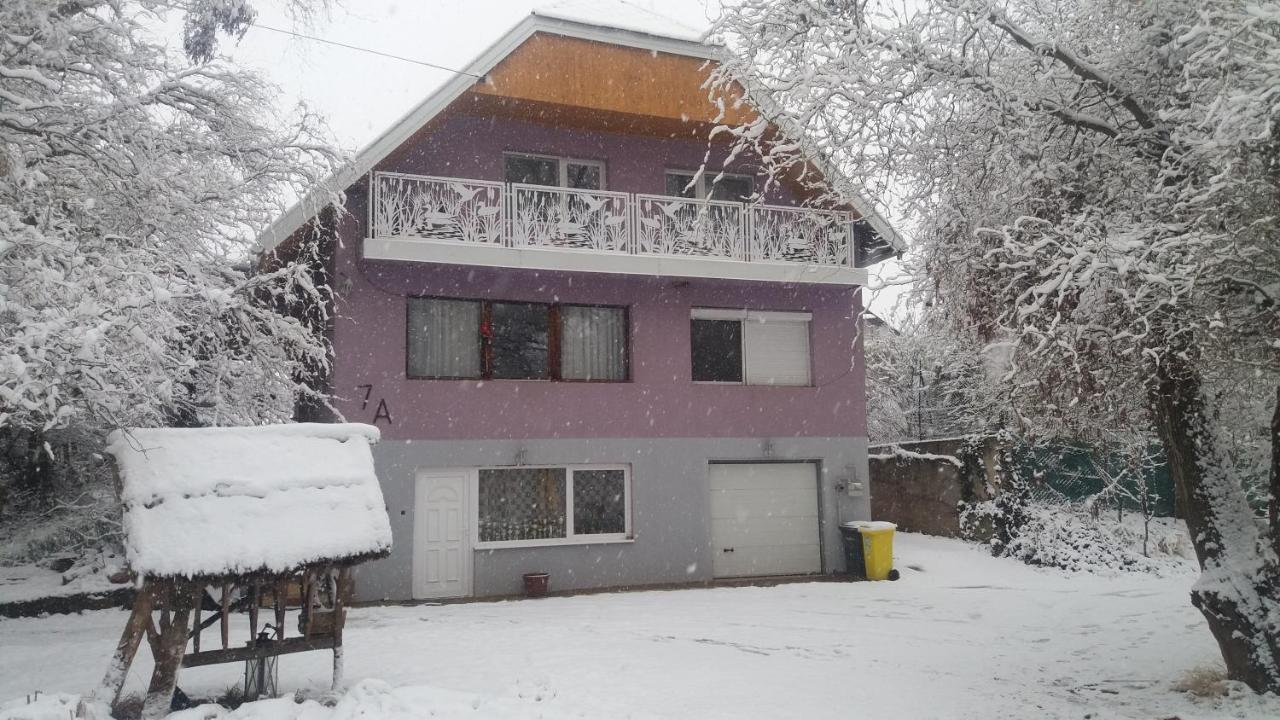 Vakacio Apartman บาลาโตนัลมาดี ภายนอก รูปภาพ